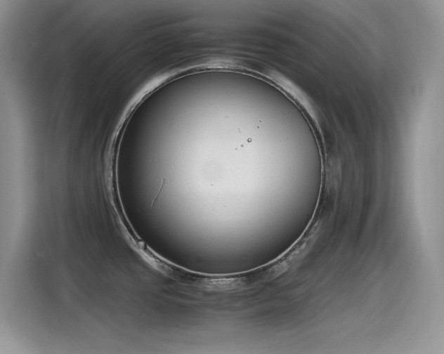 X0000115511437200911131332