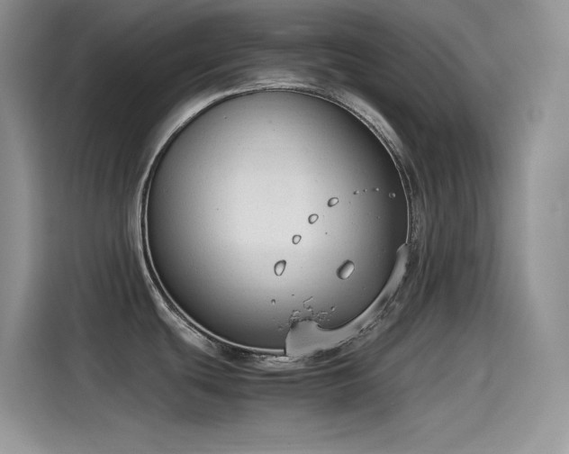 X0000115511439200911131332