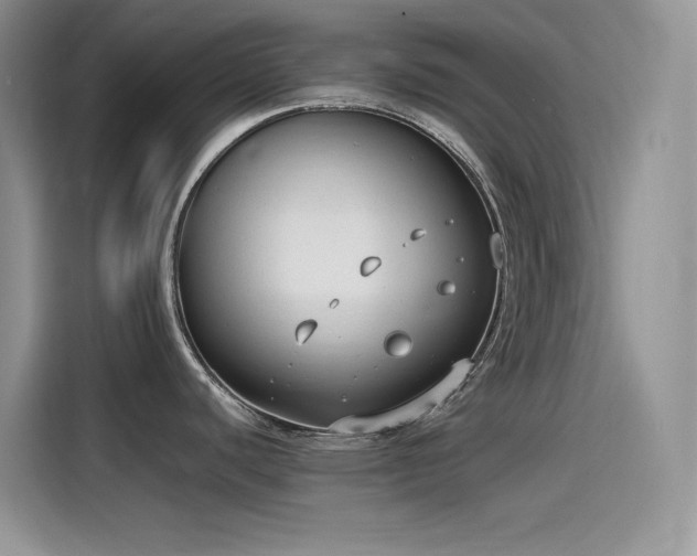 X0000115511440200911131332