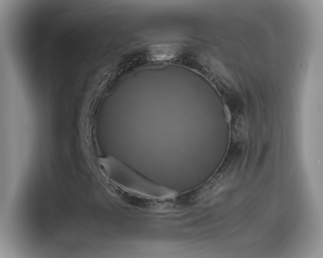 X0000115511441200911131331