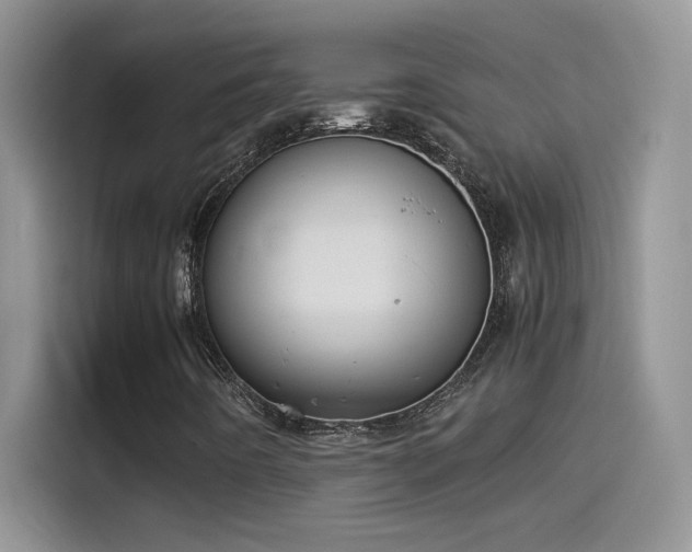 X0000115511442200911131331