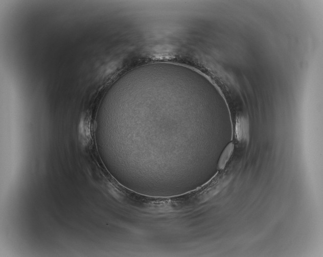 X0000115511444200911131331