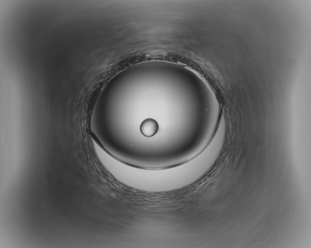 X0000115511445200911131331