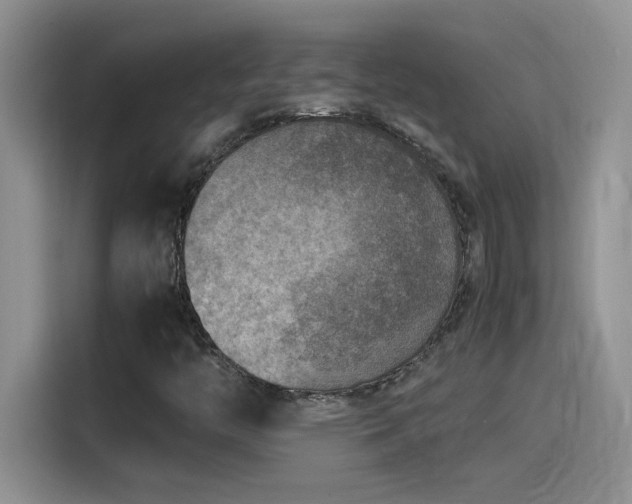 X0000115511446200911131331