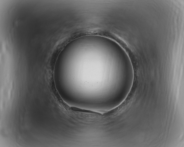 X0000115511447200911131331