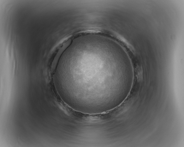 X0000115511448200911131331