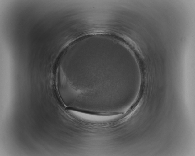 X0000115511449200911131331