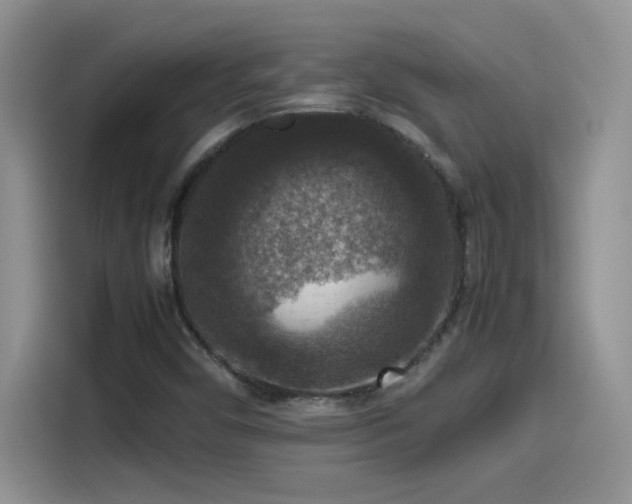 X0000115511450200911131331