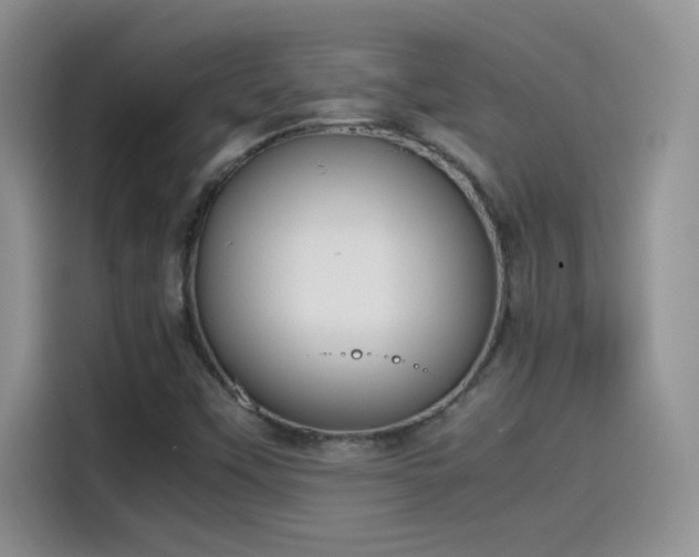 X0000115511451200911131331