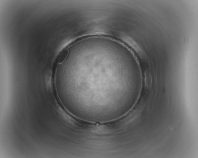 X0000115511452200911131331