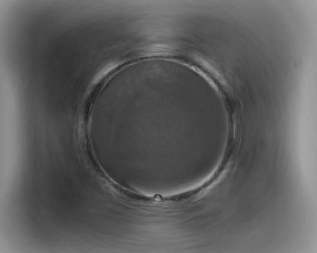 X0000115511453200911131331