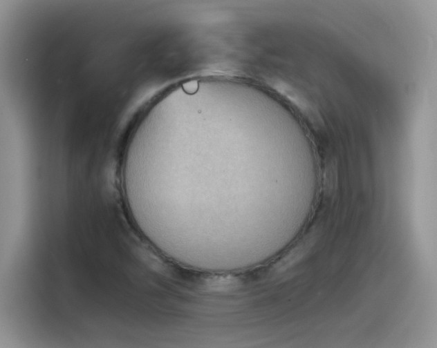 X0000115511454200911131331