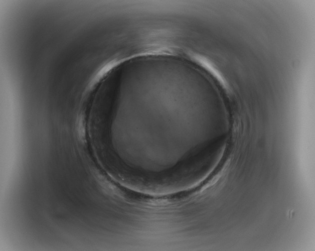 X0000115511455200911131331