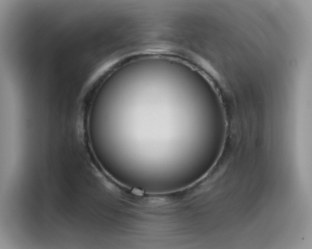 X0000115511456200911131331