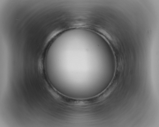 X0000115511458200911131331