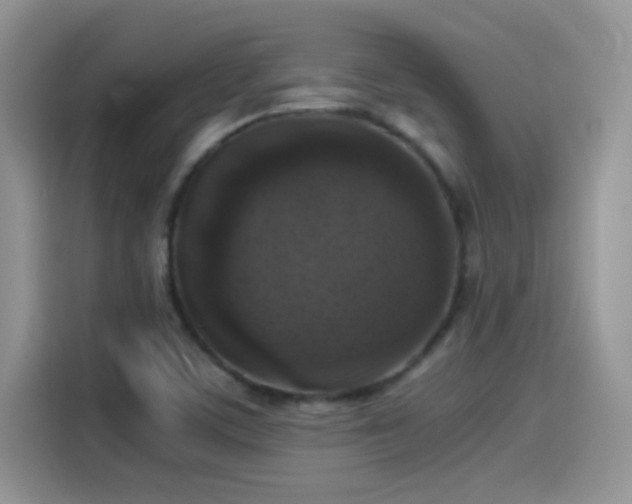 X0000115511459200911131331