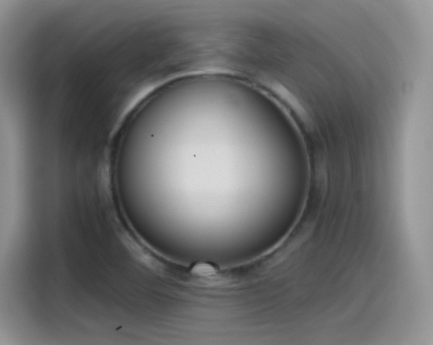 X0000115511460200911131331