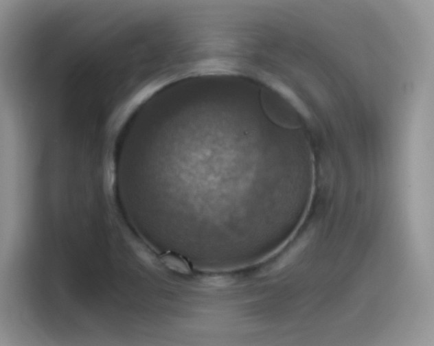 X0000115511461200911131331