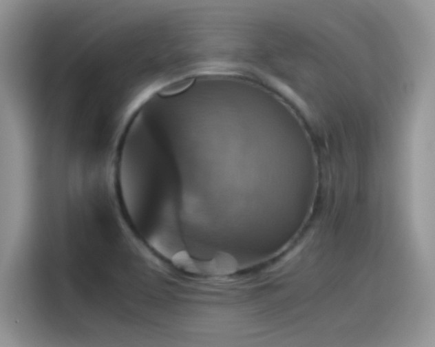 X0000115511463200911131331