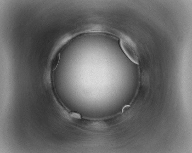 X0000115511464200911131331