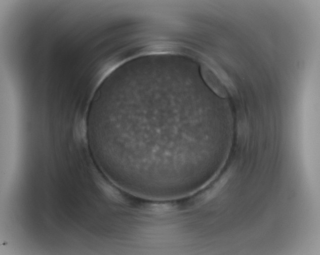 X0000115511465200911131331