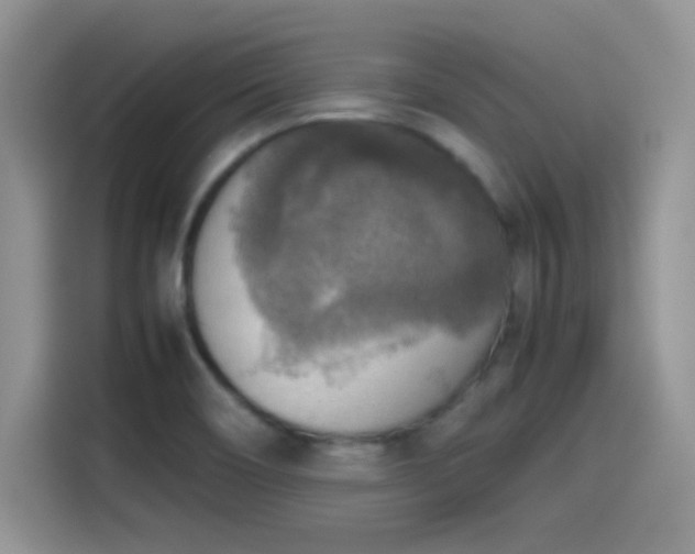 X0000115511466200911131331