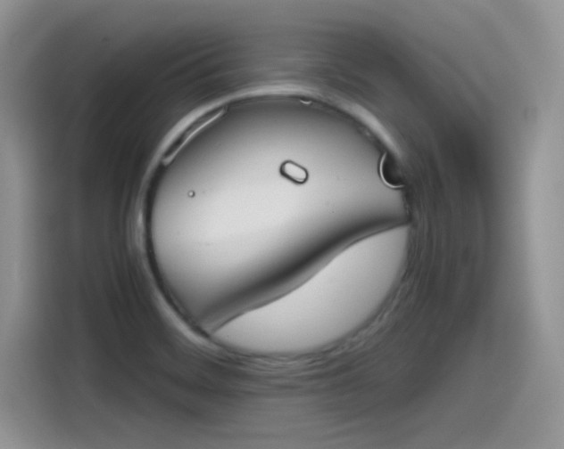 X0000115511468200911131331