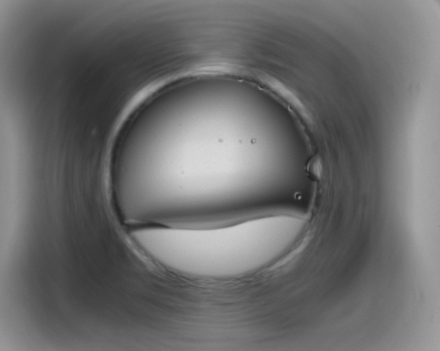 X0000115511469200911131331