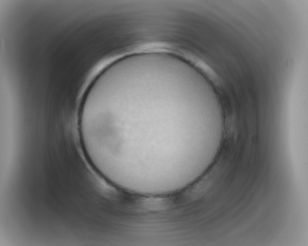 X0000115511470200911131331