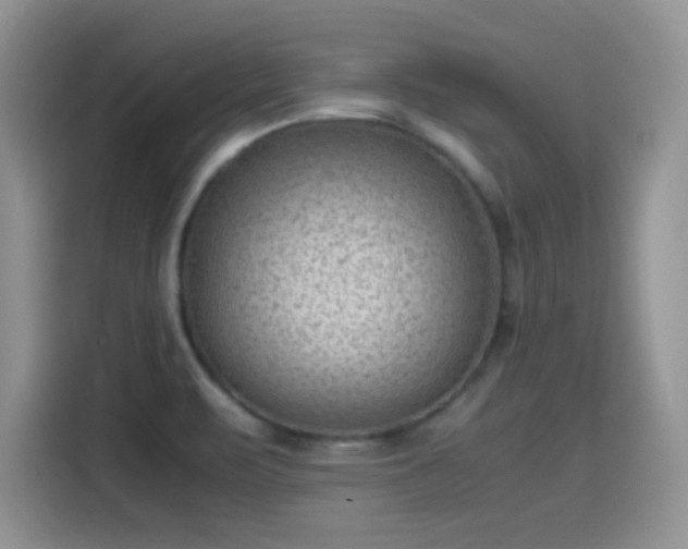 X0000115511471200911131331