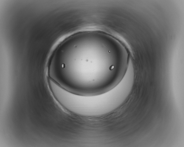 X0000115511472200911131331