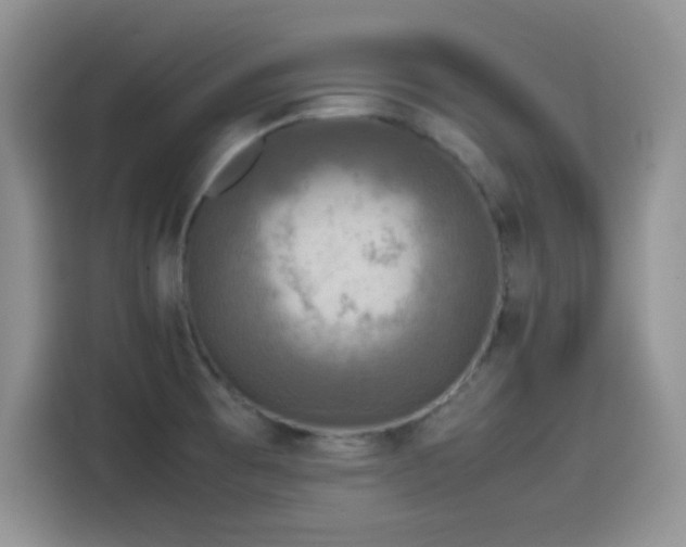 X0000115511473200911131331