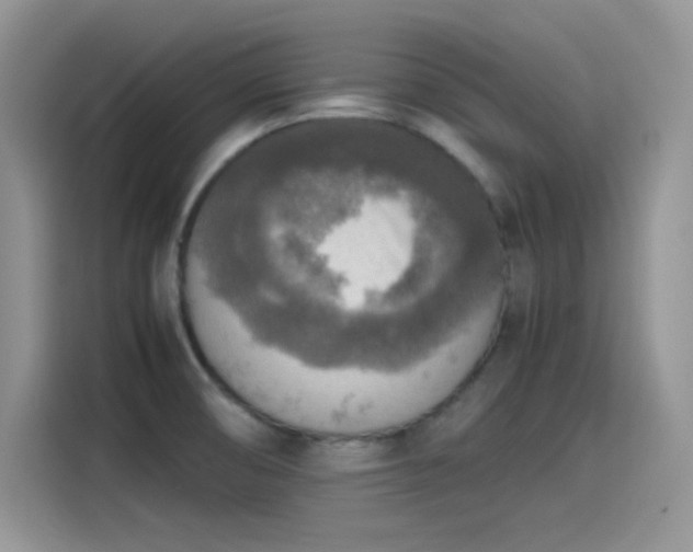 X0000115511474200911131331