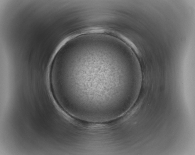 X0000115511475200911131331