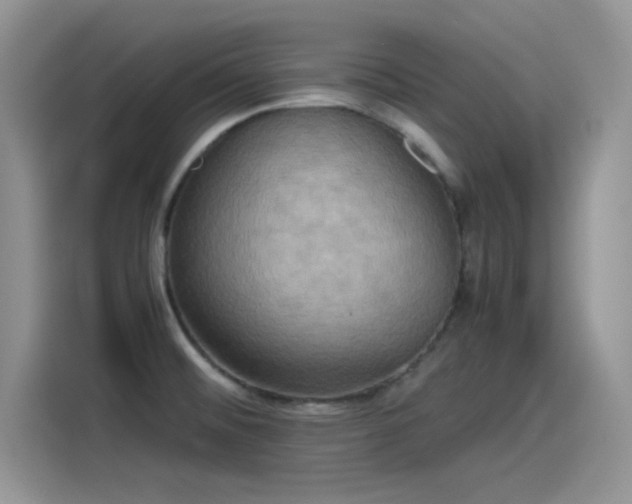 X0000115511476200911131331