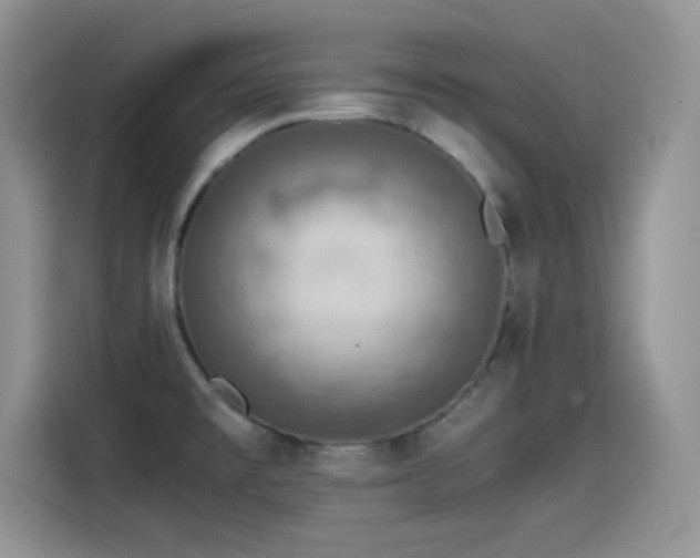 X0000115511477200911131331