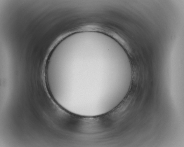 X0000115511478200911131331