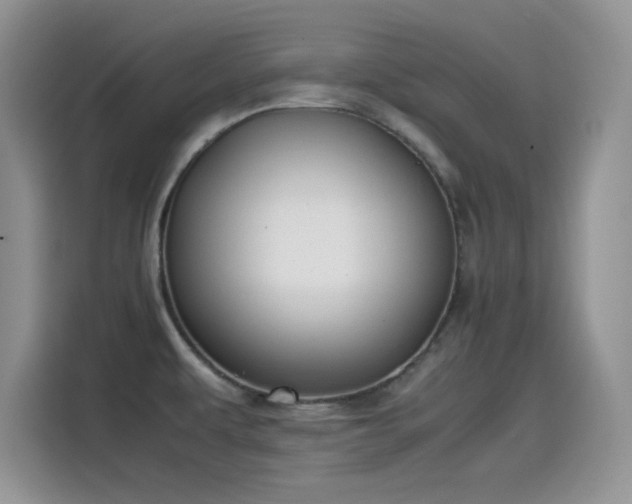 X0000115511479200911131331