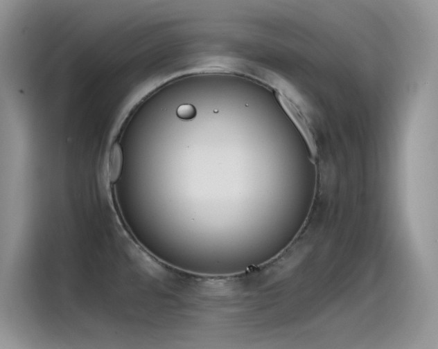 X0000115511480200911131331