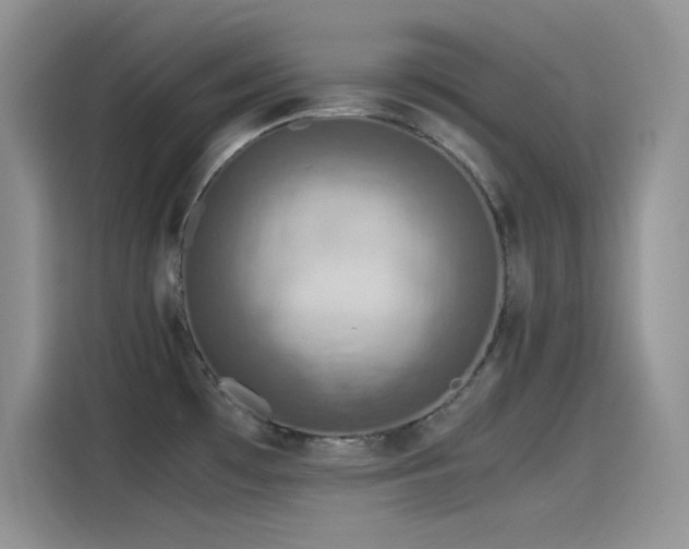 X0000115511481200911131331