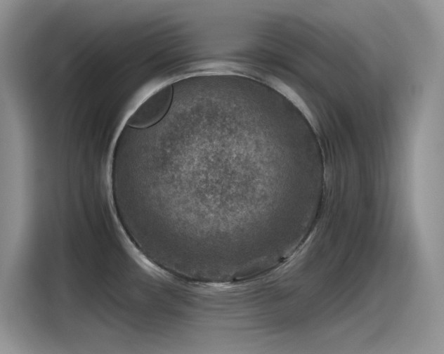 X0000115511482200911131331