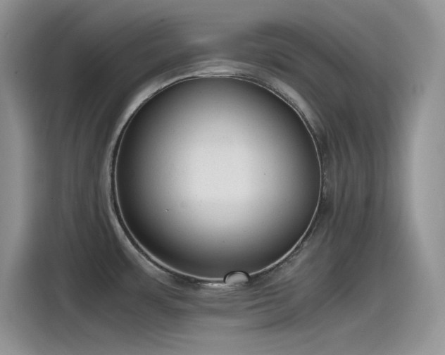 X0000115511483200911131331