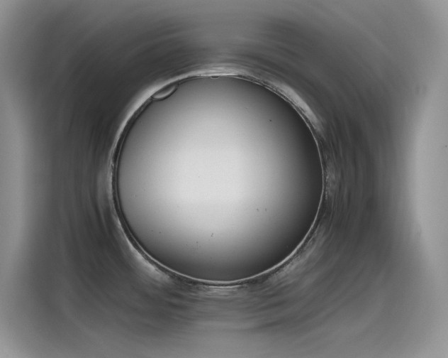 X0000115511484200911131331