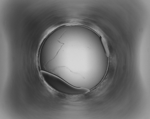 X0000115511485200911131331