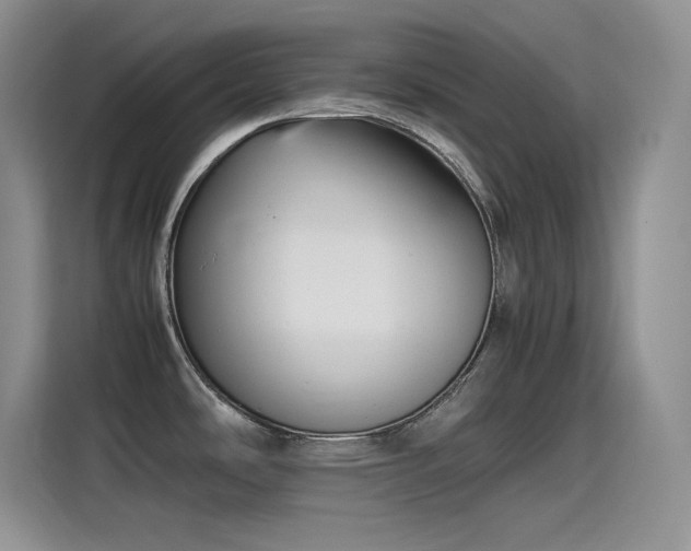 X0000115511486200911131331