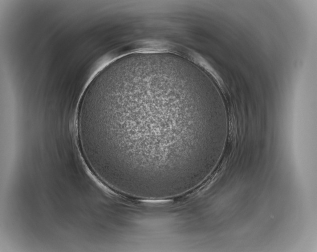 X0000115511487200911131331