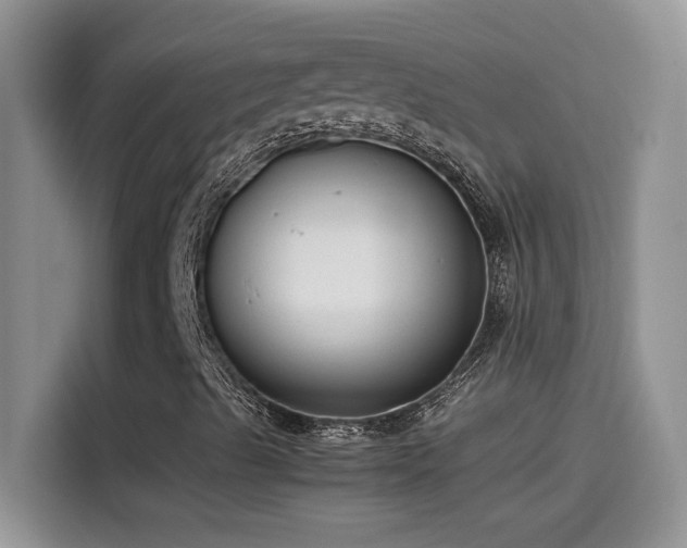 X0000115511489200911131330