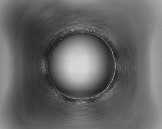 X0000115511490200911131330