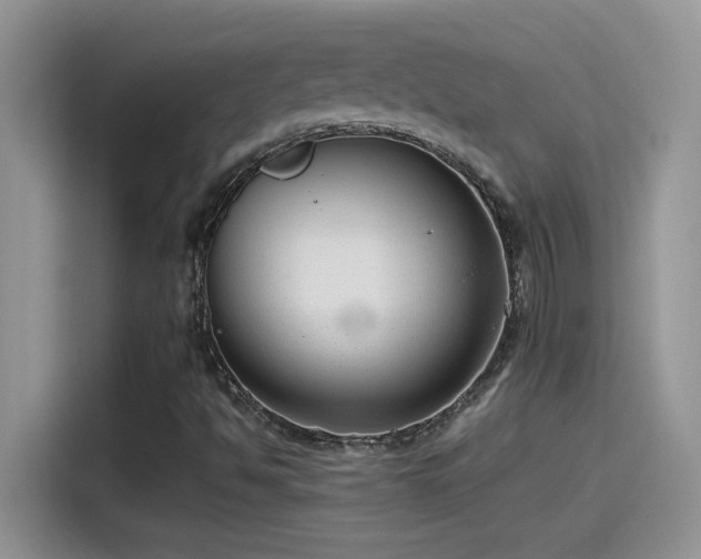 X0000115511494200911131330