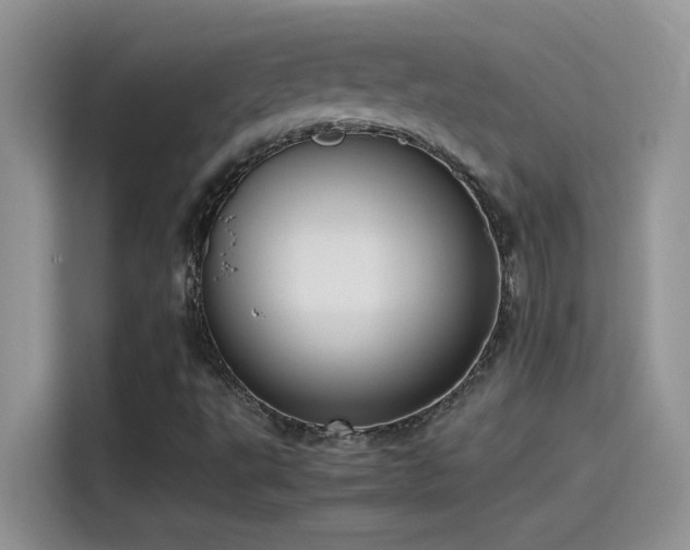 X0000115511495200911131330